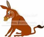 donkey.jpg