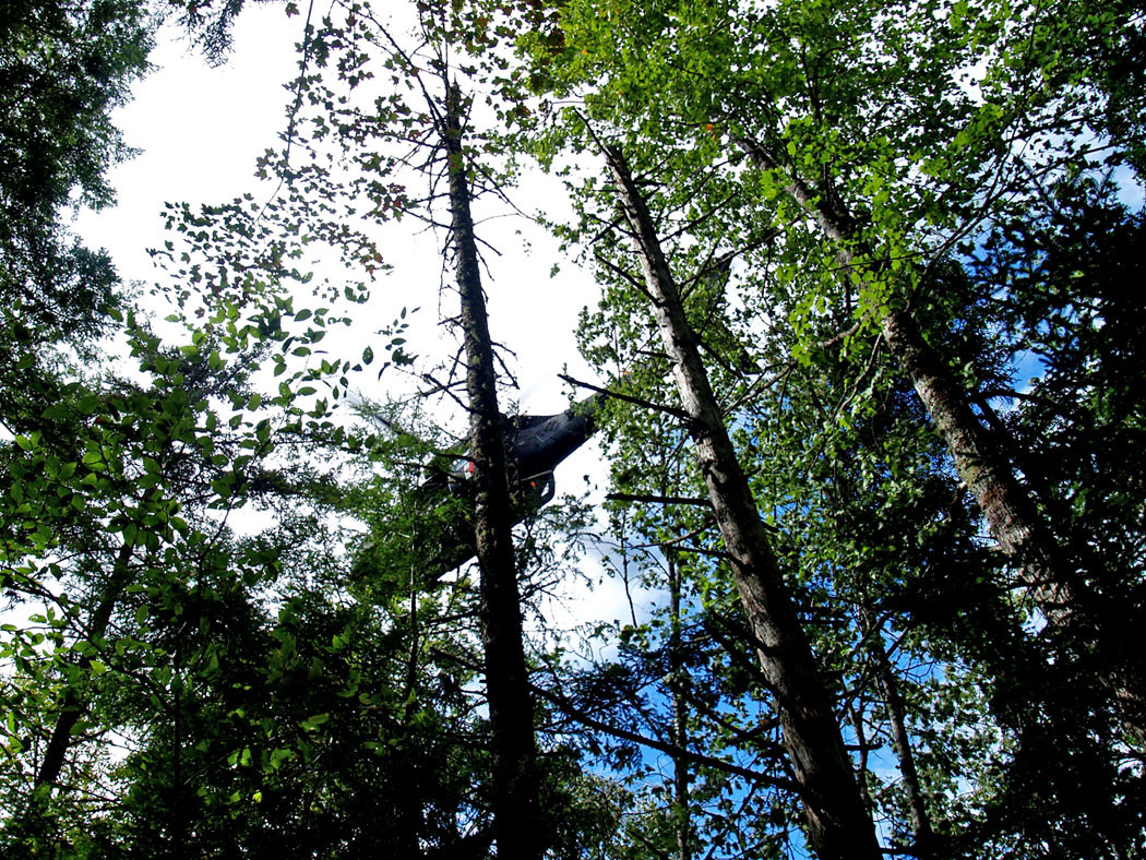 greatnorthernink.wordpress.com