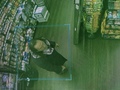 Facial Case Id