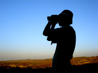 SEARCHING.jpg