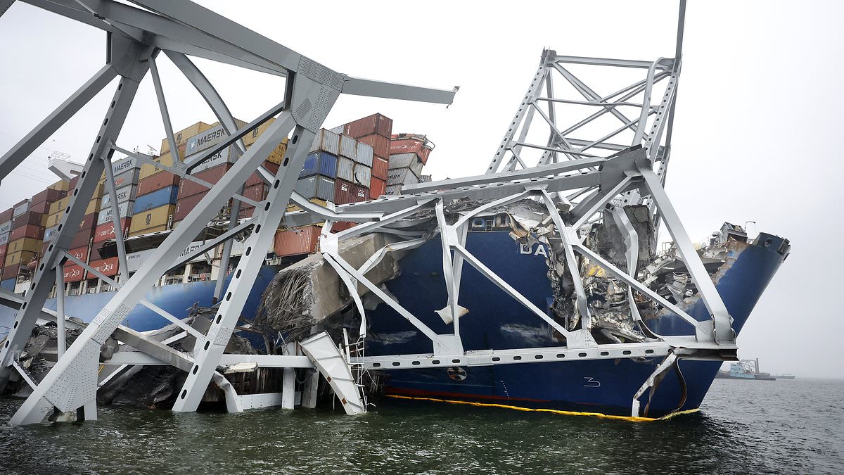 www-dailymail-co-uk.cdn.ampproject.org