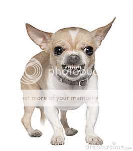dog_zps44ec80a7.jpg