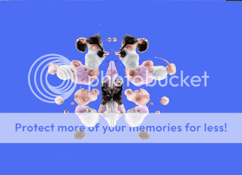 s7.jpg
