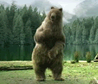 b0003814_9154248.gif