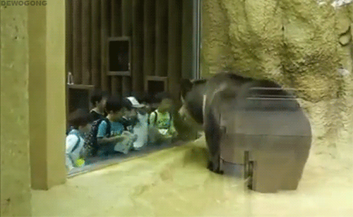 tumblr_mhmo0rE3Qa1ruy5p4o1_500.gif