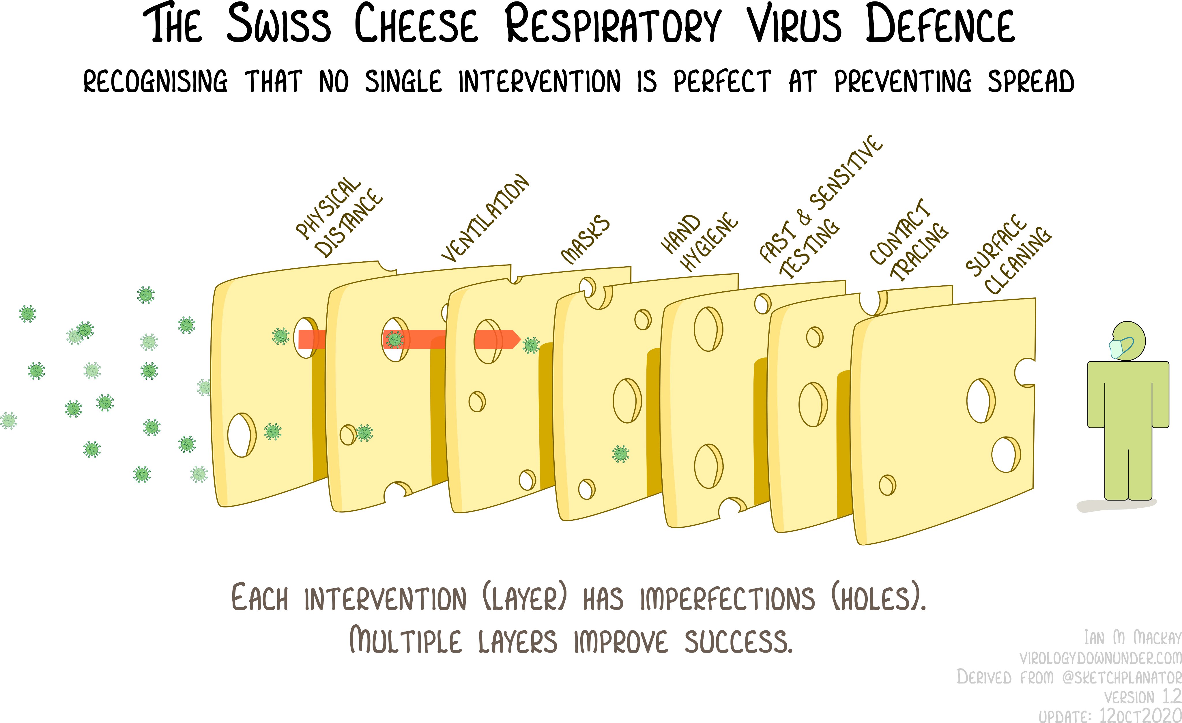 management-covid19-model-virus-swisscheese-original.jpeg