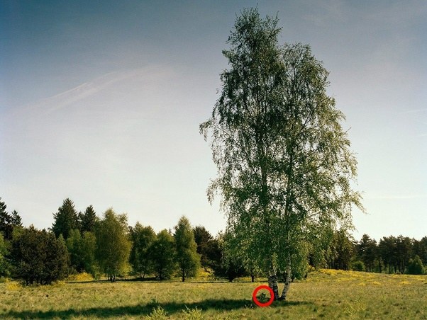 main-qimg-d88ecf72a8a32c331710b5f0ff225253-c