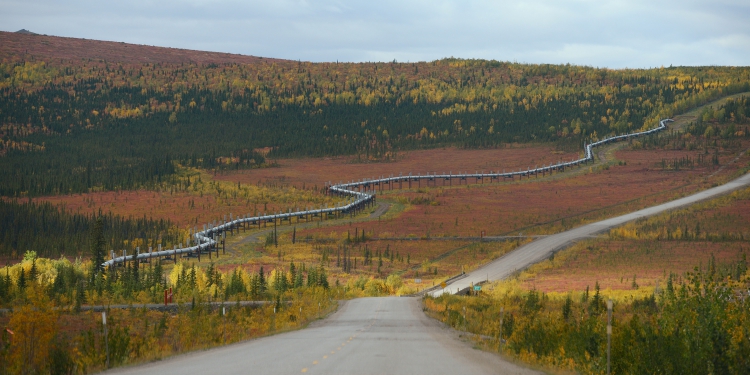 www.bellsalaska.com