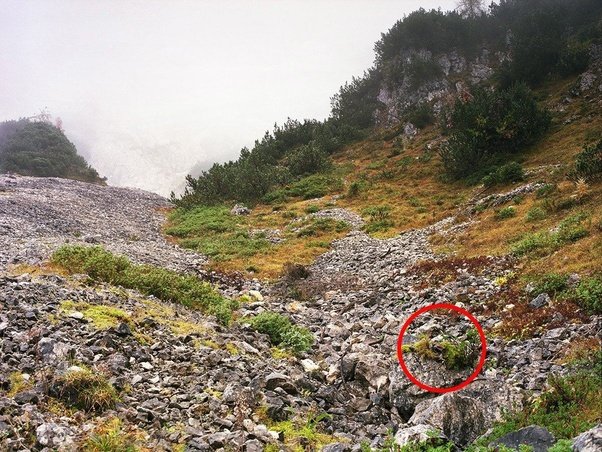 main-qimg-9b19c859b217ecf8e74f9e19e99139ac-c