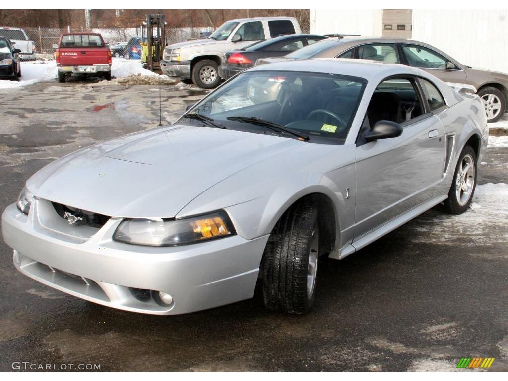 Mustang.jpg