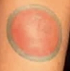 griffin_alicia_lin_tattoo2.jpg