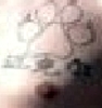 ashley_jeremy_tattoo2.jpg