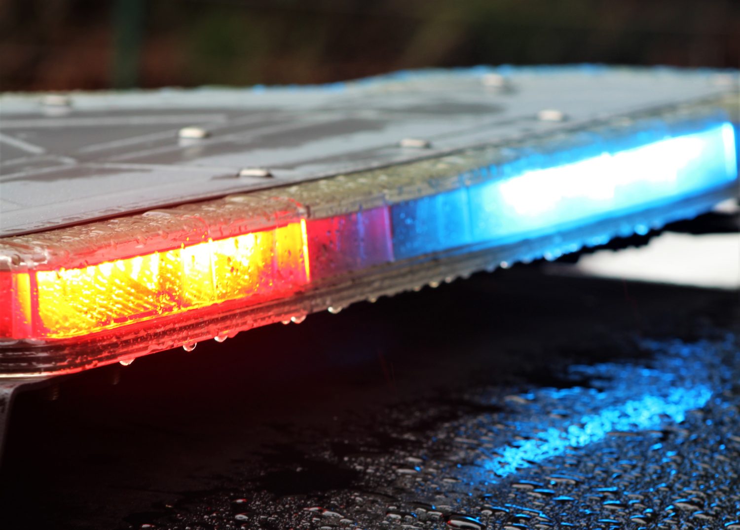 kitchener.citynews.ca