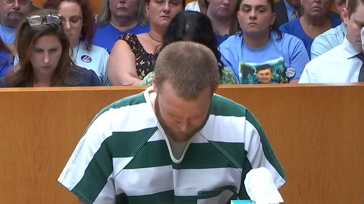 www-dailymail-co-uk.cdn.ampproject.org