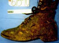 1369UMVA3.jpg