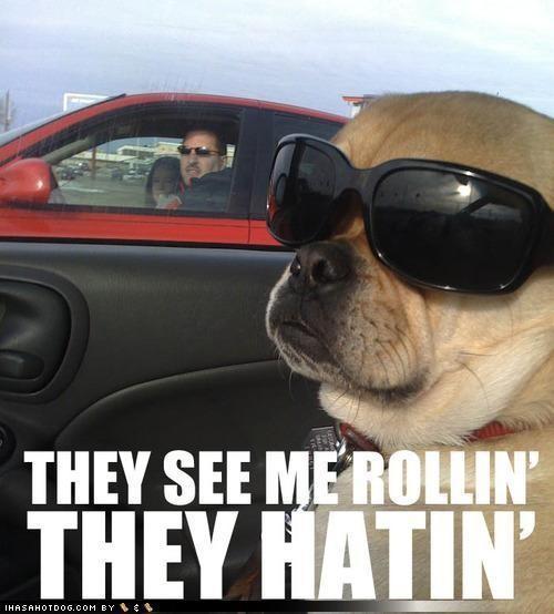 tumblr_m2bo4g3To41r4h26qo1_500.jpg