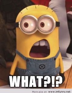 40a85edefb70ddfb7a1780887cefe3ca--minions-love-funny-minion.jpg