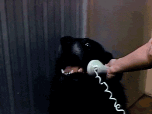 tumblr_m8wtxhpM4M1qz4u07o1_500.gif