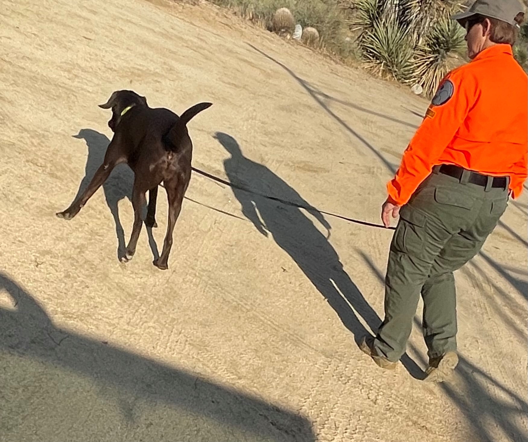 user36071-1627925878-media1