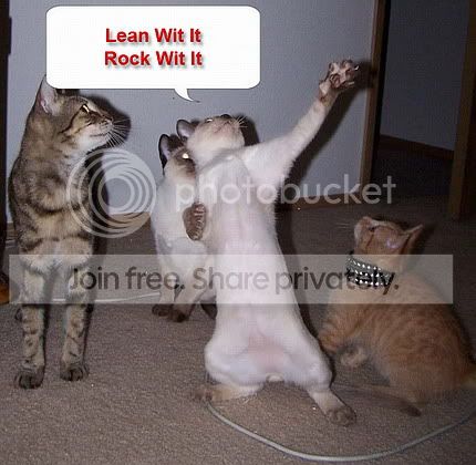 funny-dancing-cats.jpg