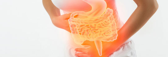 www.sepsis.org
