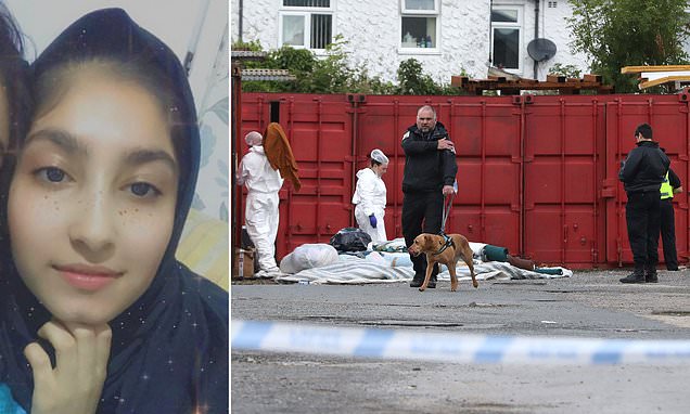 www-dailymail-co-uk.cdn.ampproject.org