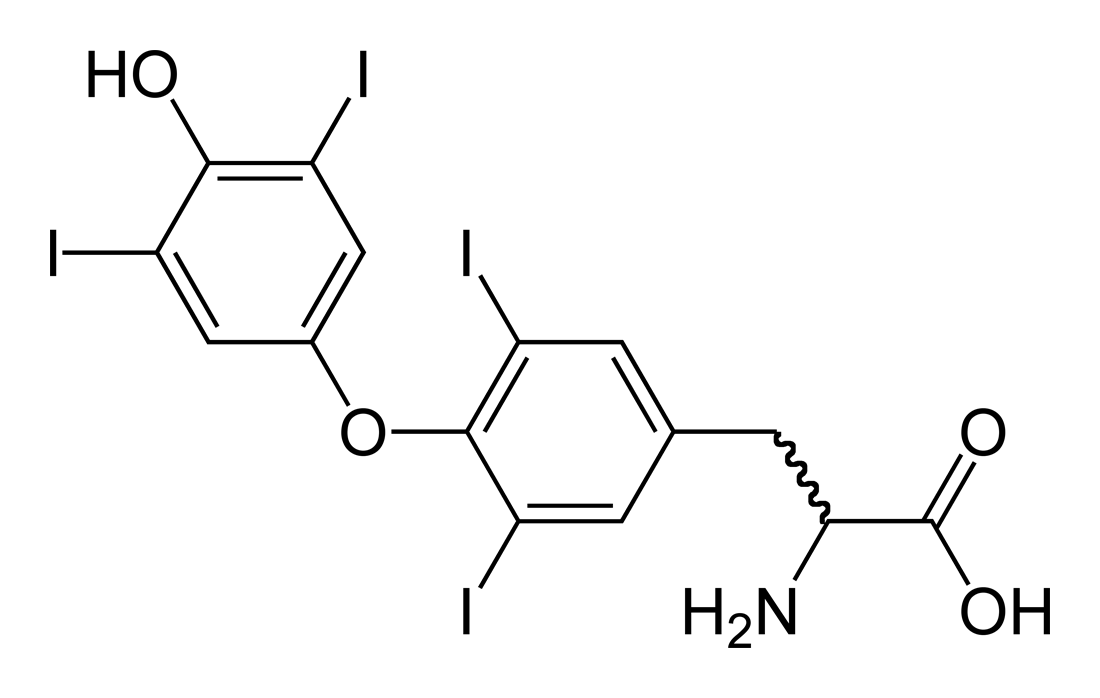 en.wikipedia.org
