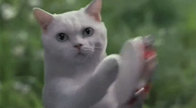 tumblr_m4z1ubLbAx1rwe1gpo1_400.gif