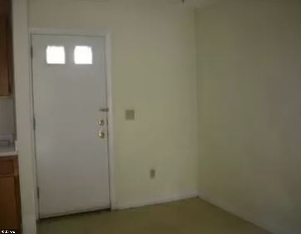 24842286-8012813-image-a-5_1581954447353.jpg
