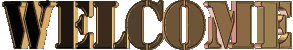 welcome019.gif