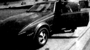 peggy_reaves_mock_4.jpg