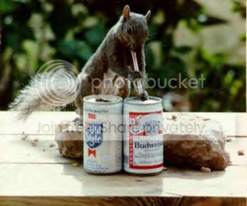 squirrel_beer.jpg