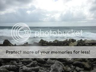 20102011656.jpg