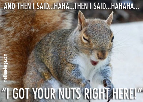 laughing-squirrel-2.jpg