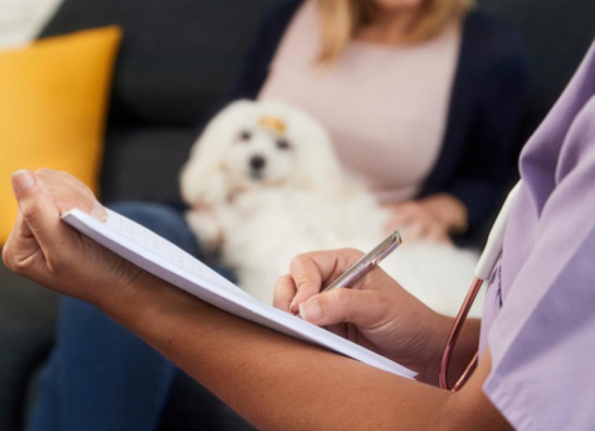 www.petmd.com