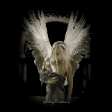 angel045-1.gif