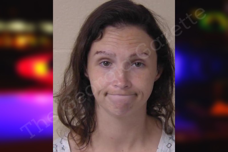 thegeorgiagazette.com