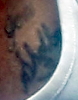 cronin_lisa_tattoo2.jpg