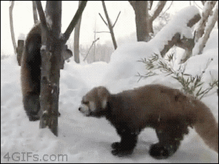 tumblr_mhb9hd3S3m1qdlh1io1_400.gif