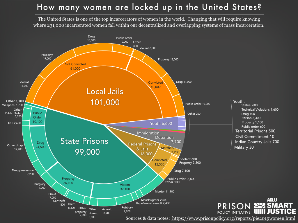 pie_2019_women.png
