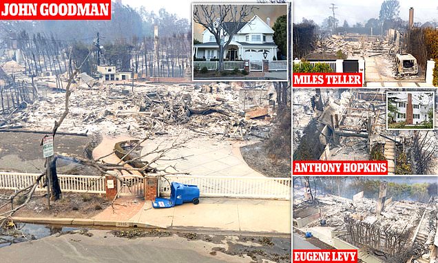 www.dailymail.co.uk