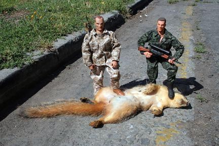 dead-squirrel.jpg