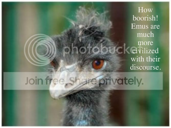emu_7061-1.jpg