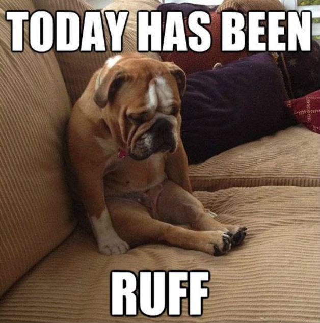 today-has-been-ruff-quote-1.jpg