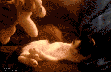 tumblr_m6me8d0YrE1r55tl4o1_400.gif