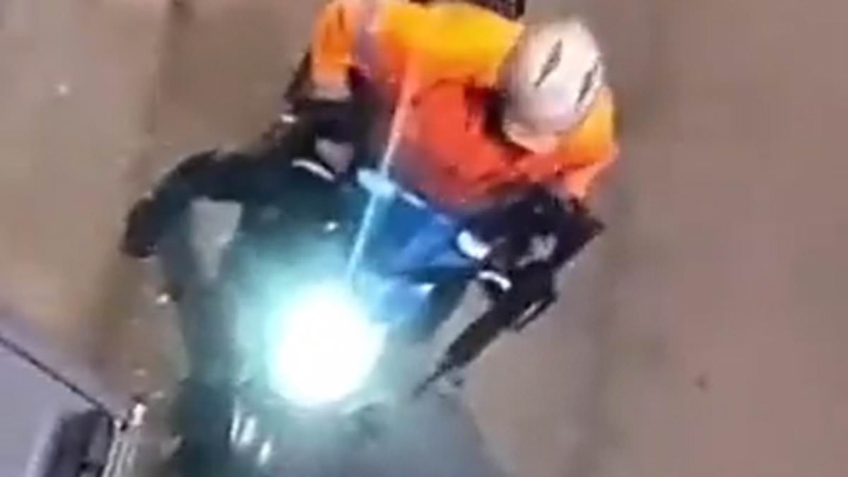 www-dailymail-co-uk.cdn.ampproject.org