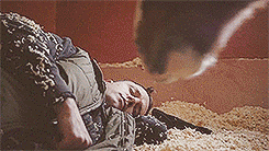 tumblr_mhm3zgmXF41rgdlh2o5_250.gif