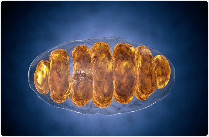 www.azolifesciences.com
