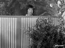 Abner Kravitz GIF - Abner Kravitz Gladys GIFs