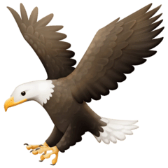 crestoneeagle.org